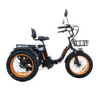 Электротрицикл Kugoo Trike 750W 48V 15.6Ah