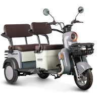 Электротрицикл Rutrike Gelbert Beta 48V/60V 800Вт Серебристо-белый