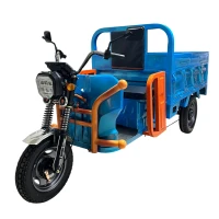 Грузовой электротрицикл Yasmand Муравей 1500